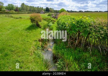 a small stream runs along a hedgerow in fields of grass in the countryside near Plumpton Green village, East Sussex, England. Stock Photo