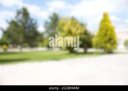 Fuzzy nature landscape, blurry nature photo for background. Stock Photo