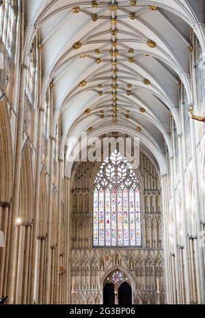 Morning light streams into the west wing of York Minster. York Minster is one of the largest cathedrals in Northern europe. Stock Photo