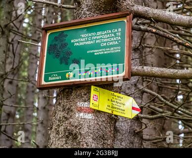 A saying by Maria Montessori on a hiking trail in the Vitosha Mountains describes how important contact with nature is for children. Sofia, Bulgaria Stock Photo