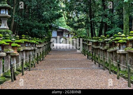 Ishidoro, stone japanese lanterns along the paths of Nara Park, Nara, Japan. Stock Photo