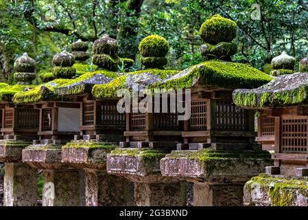 Ishidoro, stone japanese lanterns along the paths of Nara Park, Nara, Japan. Stock Photo