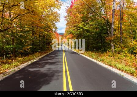 Deserted straigth stretch of a mountain road through a colourful autumn forest on a sunny day Stock Photo