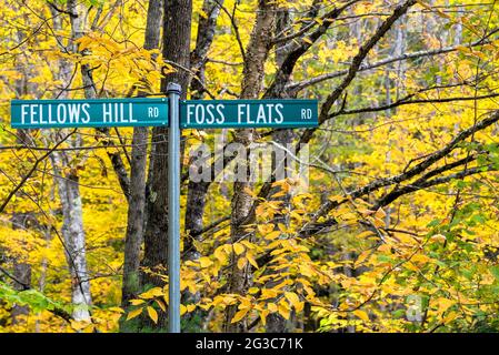 Close up od street signs with colourful deciduous trees in background Stock Photo