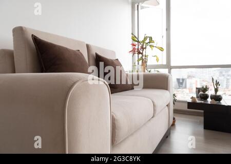 comfortable modern white sofa with cushions, plant and decorative objects in a living room with a large window in the daytime, home interior Stock Photo