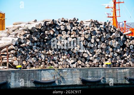 A big stack of balks of wood in the harbour in Gdynia in Poland Stock Photo