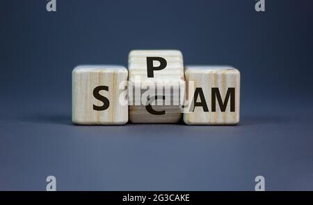 Spam and scam symbol. Turned a wooden cube and changed the word 'scam' to 'spam' or vice versa. Beautiful grey table, grey background, copy space. Bus Stock Photo
