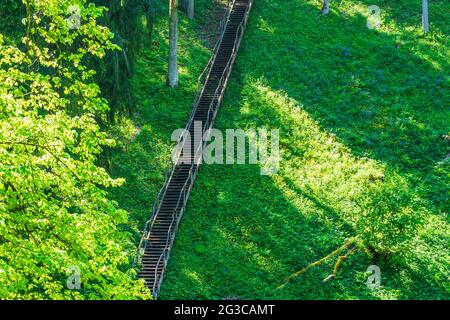Wooden Stairs Going up on the Mountain and Forest Stock Photo