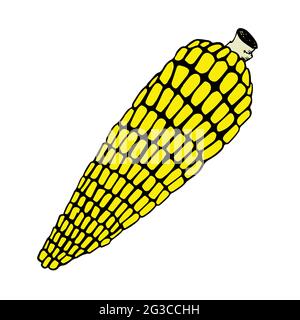 Corn cob clipart isolated on white background Stock Vector