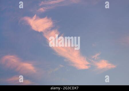 Pink sunset cirrus clouds on evening sky Stock Photo