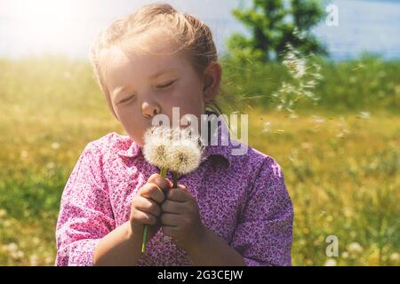 Little girl blowing on dandelions. High quality photo Stock Photo
