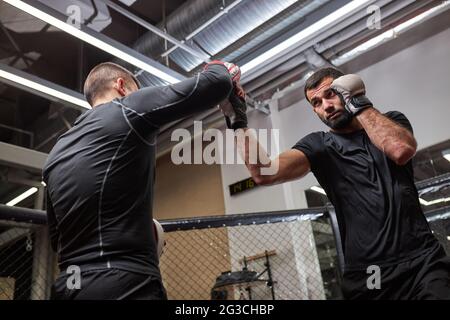 Professional MMA Fighter Showing Best Tricks To New Fighter, Teaching,  Training Together, Engaged In Workout, Master Class By Professional MMA  Wrestle Stock Photo - Alamy