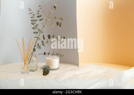 Eucalyptus branches bouquet in vase and Aromatic home perfume sticks, air freshener candle. Home Interior comfort element and aromatherapy with copy Stock Photo