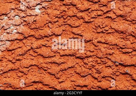 A macro shot of bright red bricks and white mortar in the afternoon sun, focusing on the bumpy texture that the bricks have. Stock Photo