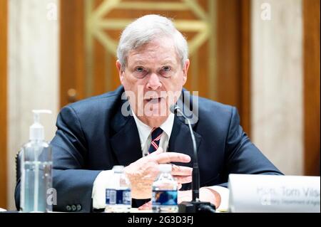 Washington, DC, USA. 15th June, 2021. June 15, 2021 - Washington, DC, United States: U.S. Secretary of Agriculture TOM VILSACK speaking at a hearing of the Senate Appropriations Committee. Credit: Michael Brochstein/ZUMA Wire/Alamy Live News Stock Photo