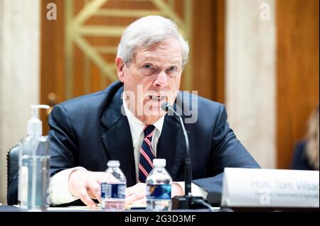 Washington, DC, USA. 15th June, 2021. June 15, 2021 - Washington, DC, United States: U.S. Secretary of Agriculture TOM VILSACK speaking at a hearing of the Senate Appropriations Committee. Credit: Michael Brochstein/ZUMA Wire/Alamy Live News Stock Photo