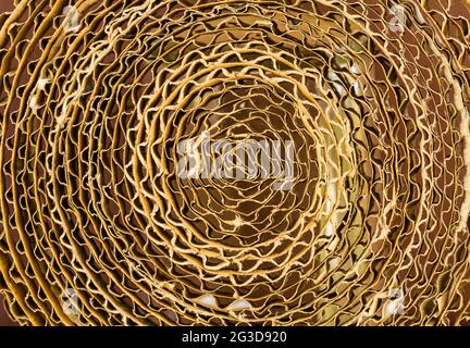 Macro texture of cardboard in the sectional of the folded in several layers Stock Photo