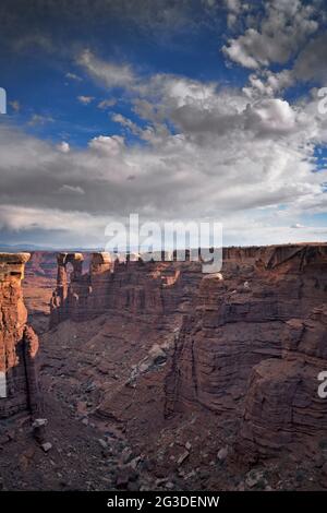 Evening light and shadows interact among the towering sandstone spires at Monument Basin along the remote White Rim Road in Utah’s Canyonlands Nationa Stock Photo