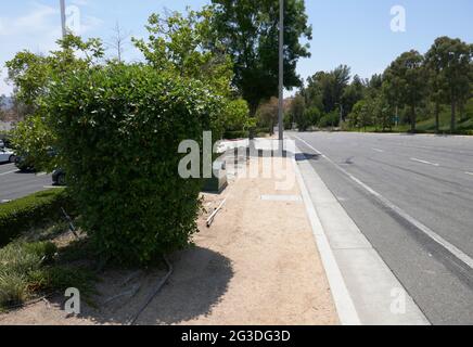 Valencia, California, USA 15th June 2021 A general view of atmosphere of actor Paul Walker's Fatal Car Crash Location at 28385 Constellation Road where Roger Rodas was driving with Paul Walker on November 30, 2013 and they crashed here in Valencia, California, USA. Photo by Barry King/Alamy Stock Photo Stock Photo