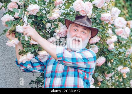 Planting flowers. Retro advertising. Portrait of grandfather while working in flowers garden. I love our moments in the countryside - remember time. Stock Photo