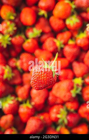 Whole ripe red strawberry. Top view. Stock Photo