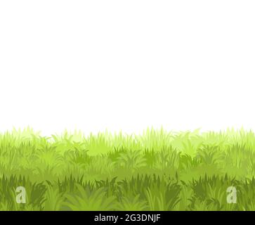 Lawn. Seamless illustration. Grass close-up. Green summer landscape. Rural pasture meadow. Cartoon style. Flat design. Isolated on white background Stock Vector