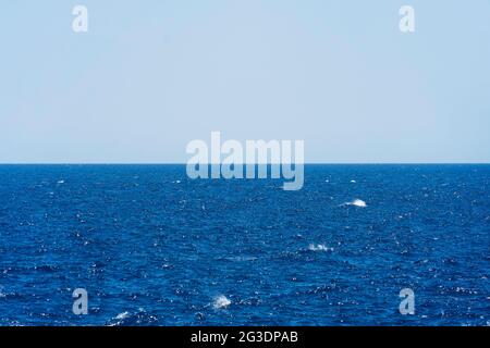 Seascape with sea horizon and almost clear deep blue sky - Background Stock Photo