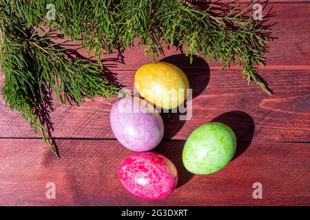 Four multicolored bright easter eggs and thuja branch lying on red wood deck Stock Photo