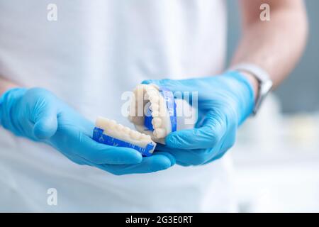 Close up pictire of doctors hands with a denture Stock Photo
