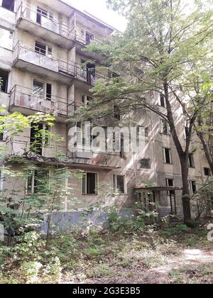 Abandoned overgrown high-rise building with balconies and front door and tree Stock Photo