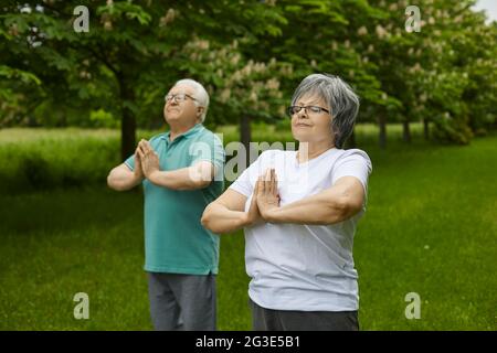 Happy senior couple relaxing while practicing yoga exercise in a green summer park Stock Photo