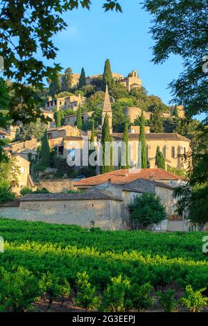 FRANCE. GARD (30) LA ROQUE SUR CEZE LES PLUS BEAUX VILLAGE DE FRANCE LE VINEYARD AND THE VILLAGE, THE VAULT Stock Photo