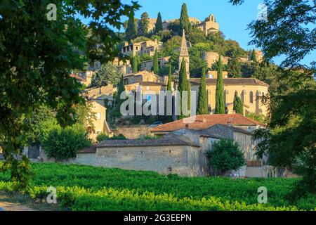 FRANCE. GARD (30) LA ROQUE SUR CEZE LES PLUS BEAUX VILLAGE DE FRANCE (THE MORE BEAUTIFUL VILLAGE OF FRANCE) LES PLUS BEAUX VILLAGE DE FRANCE LE VINEYA Stock Photo