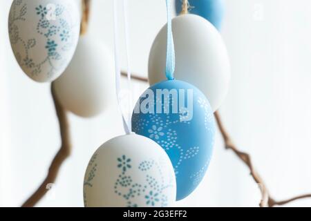 Blue and white plastic easter eggs with floral motif with ribbons hanging on a branch against a white background Stock Photo