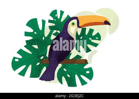 Toucan Bird of Paradise Composition with Noises Stock Vector