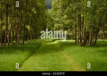 Footpath in Dawyck Botanic Gardens near Peebles Scotland Stock Photo