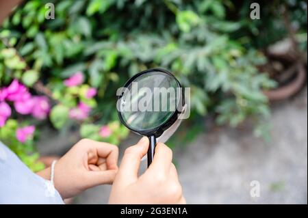 Boy using magnifying glass looking and learning at green leaf in biology class on outside the classroom Stock Photo