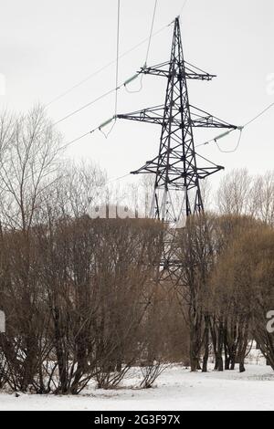 Old power line support against a gray winter sky, trees without leaves around. Stock Photo