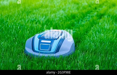 Robot mower cutting high grass. Stock Photo