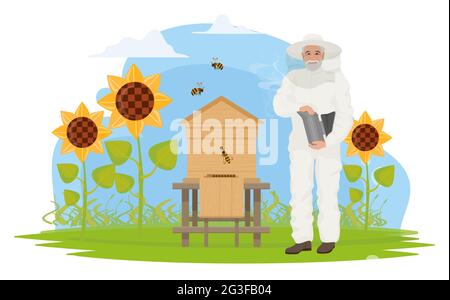 Beekeeper people people work on apiary, honey production vector illustration. Cartoon elderly apiarist character beekeeping, holding honeycomb, standing near hive, sunflower garden isolated on white Stock Vector