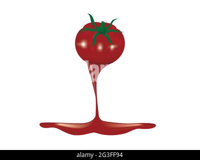 Fresh juicy red tomato isolated on white background. Tomato juice pouring on the floor. Vector illustration design. Stock Vector