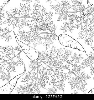 carrot pattern on white background Stock Vector