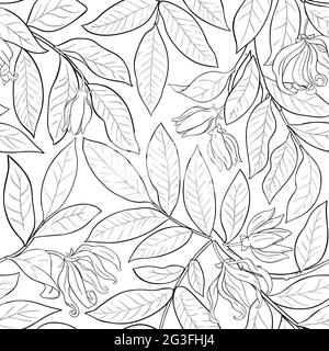 ylang ylang pattern on white background Stock Vector
