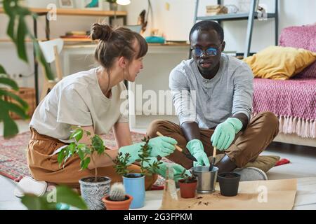 Young multiethnic couple planting plants into the pots together in the room Stock Photo