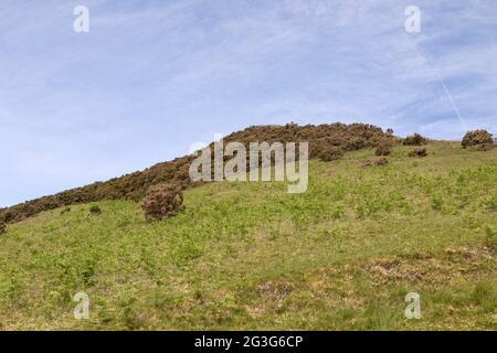 Hillside of Winder in the Yorkshire Dales National Park, England. Winder is near Sedbergh in Cumbria. Stock Photo