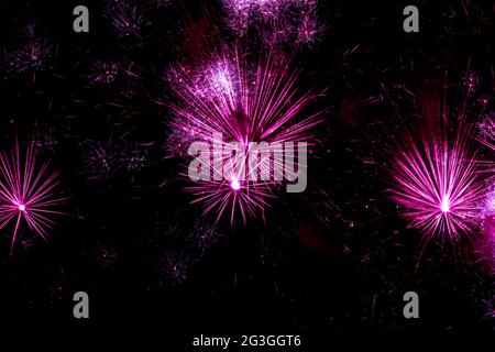 Pink fireworks in a black night sky Stock Photo