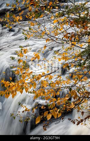 Shohola Falls along Shohola Creek in Pennsylvania's Pocono Mountains has numerous cascades before falling the final 50 feet into the main plunge pool. Stock Photo