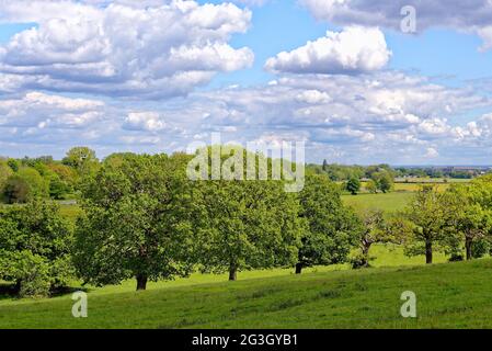 The countryside at Runnymede on a sunny summers day, Surrey England UK Stock Photo