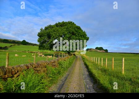 Spencer Lane, Cobbled Street, Old Chamber, Hebden Bridge, Calderdale, West Yorkshire Stock Photo