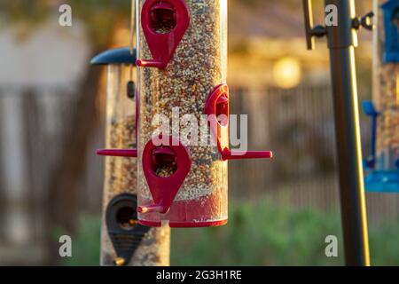 Close up view of a red bird feeder in a backyard Stock Photo